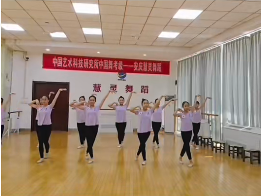 舞蹈欣赏视频十